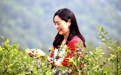 日本三级香港三级三级人!妇久